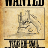 Texas Kid-Snail