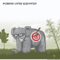 Elefanten - Mobbing