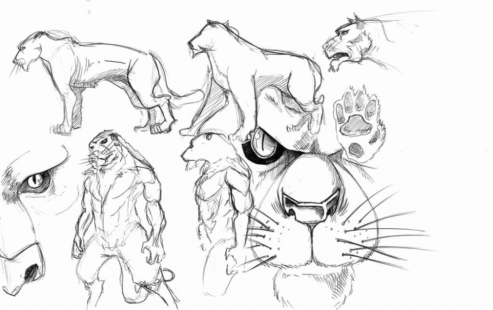 Concept Art / Character Design: Für die Katz ... - Übungen 3