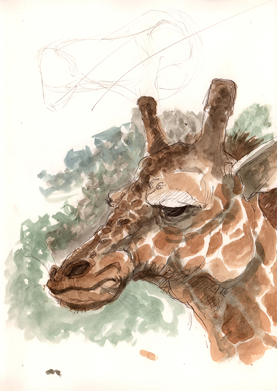 Cartoon: Zootour - Skizzenbuch 10