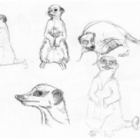 Zootour - Skizzenbuch