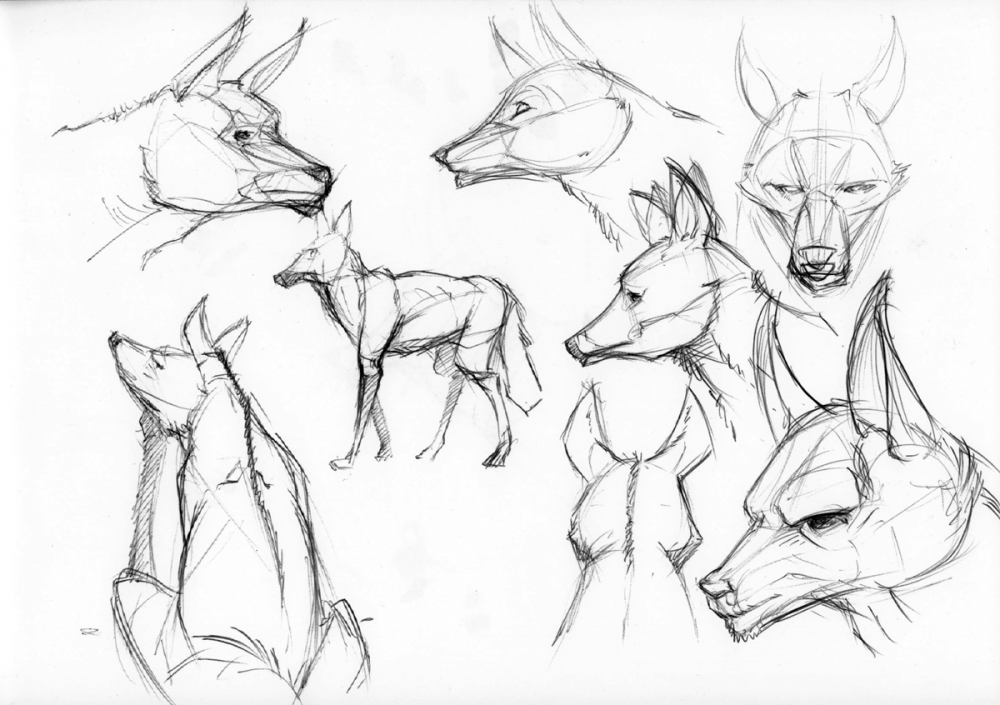 Concept Art / Character Design: Zoo-Doodles 04_2016 4