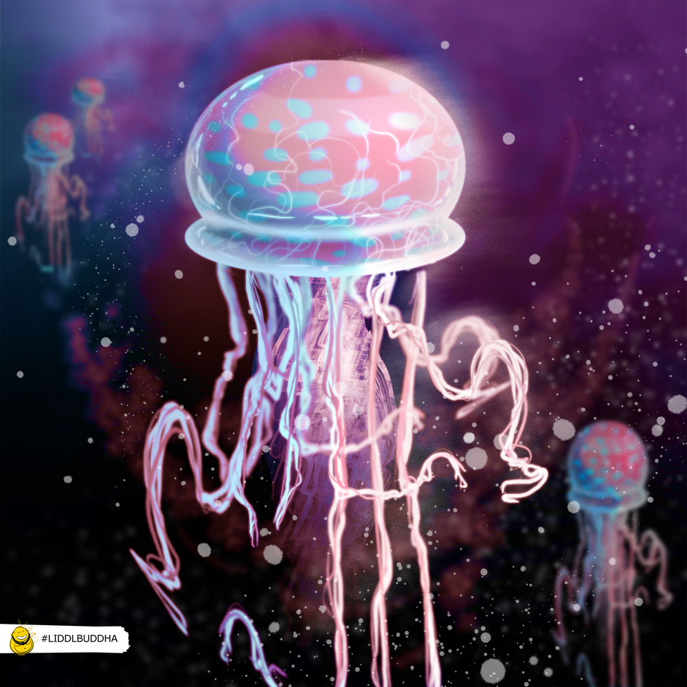 Illustration: Qualle, Qualle, Qualle 1