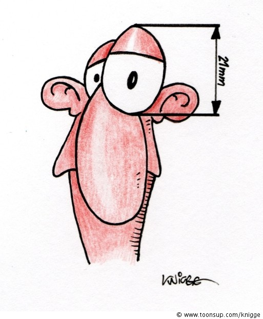 Cartoon: 'Augenmaß' 1