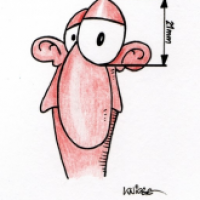 'Augenmaß'
