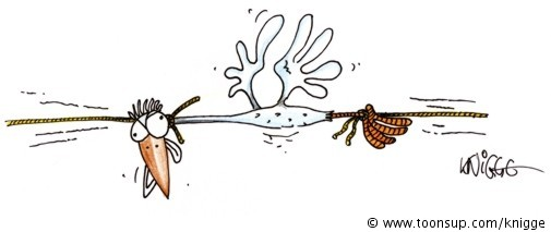 Cartoon: <<< Zugvogel >>> 1