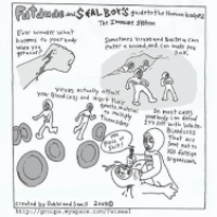 FD&SB's Guide to the human body#2