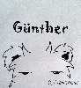 judithmi