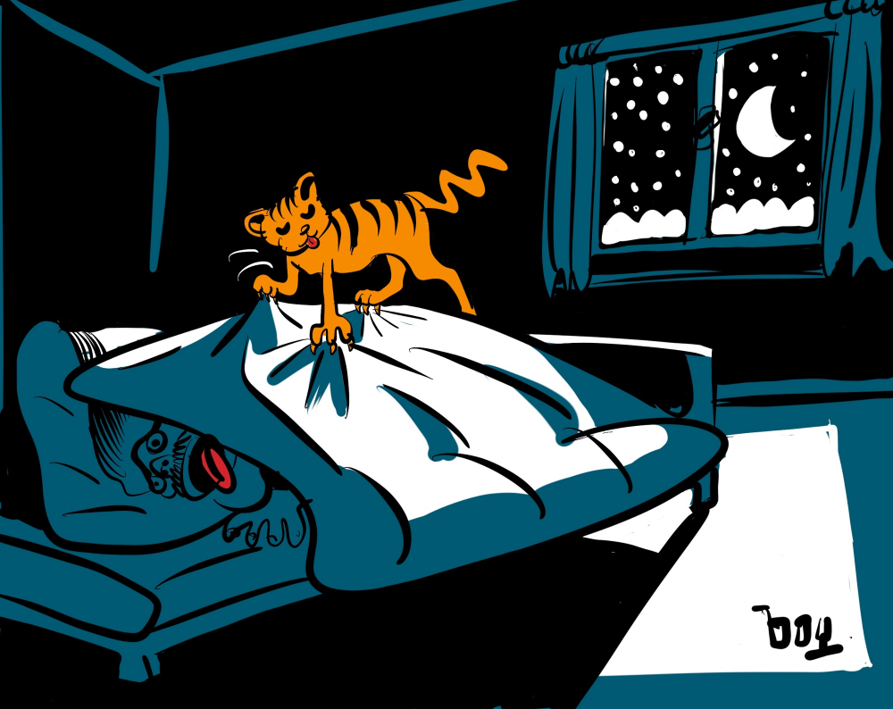 Illustration: Woschs orange Katzi 1