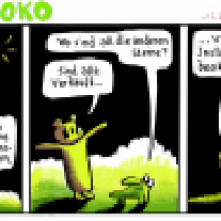 Bär&Kroko 2025 -- Staffel 04