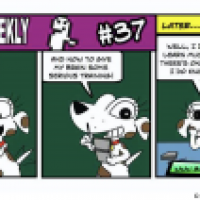 Beluga Weekly #37