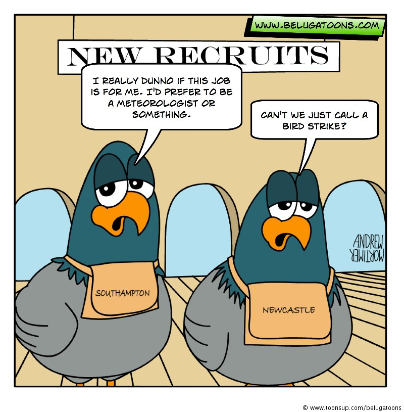 Comic: Beluga Weekly #43 1