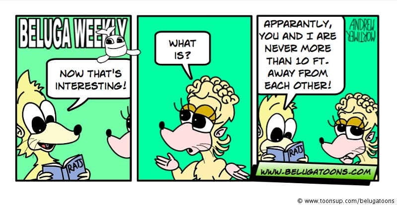 Comic: Beluga Weekly #27 1