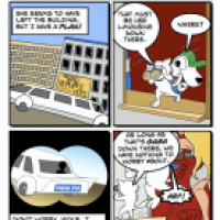 Beluga Weekly #85