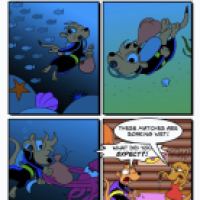 Beluga Weekly #125