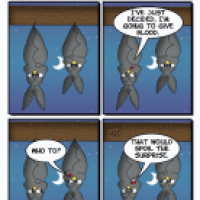 Beluga Weekly #143