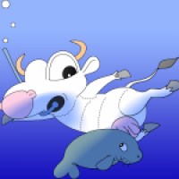 Sea Cows