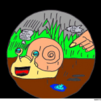 Snails of the Highway!