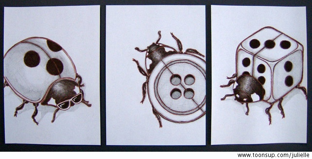 Illustration: Marienkäfer 1