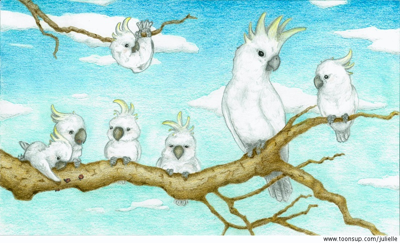 Illustration: Kakadu Familie 1