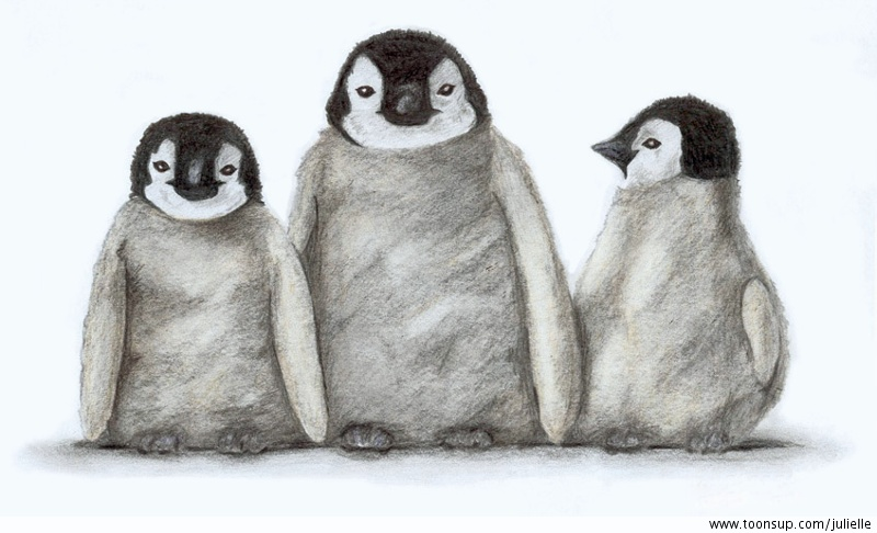Illustration: Pinguine 1
