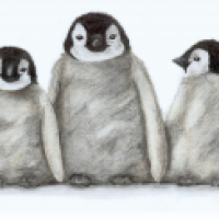 Pinguine