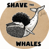Tag 12 - Whale