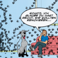 Dogtaris Renovierung