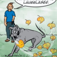 Laubbläser
