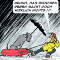 Seehund