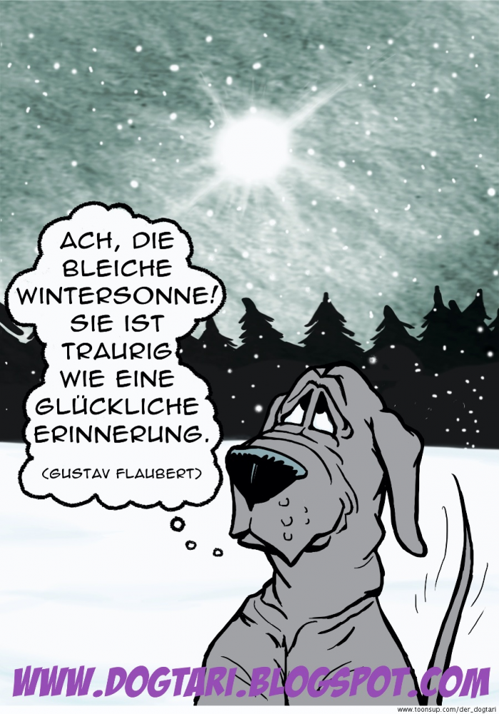 Cartoon: Wintersonne 1