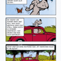 Hunde Frühling