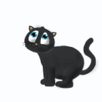 Katze