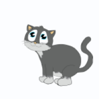 Meine Katze