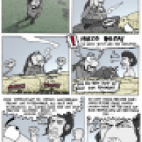 Island16: Schafe