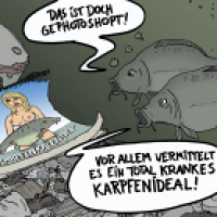 Die Dicken Dinger