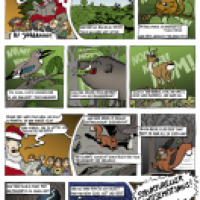Weihnachtsgeschichte