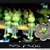 Der Frosch war's!
