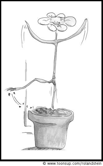 Comic: Blume 9