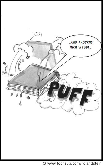 Comic: Blume 13