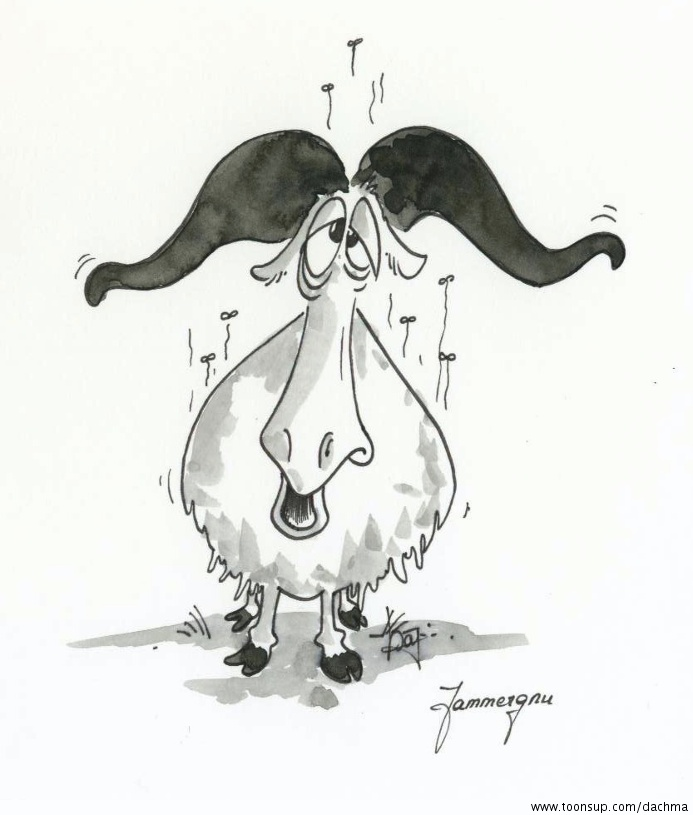 Illustration: Jammergnu 1