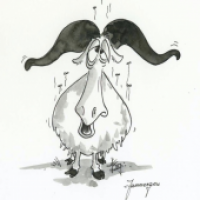 Jammergnu