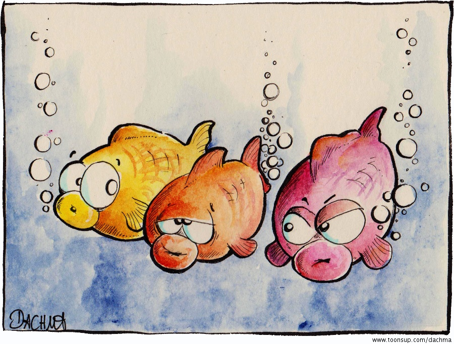 Cartoon: Blubberfische 1