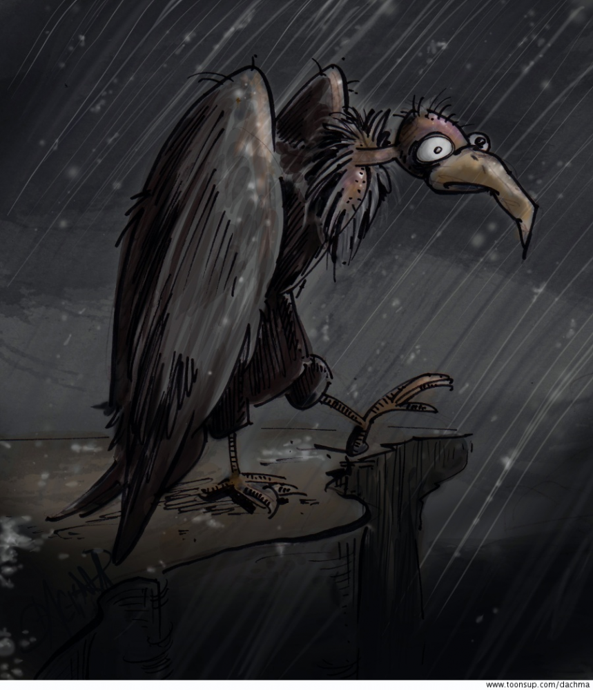 Illustration: Geier - ausnahmsweise nicht niedlich 1