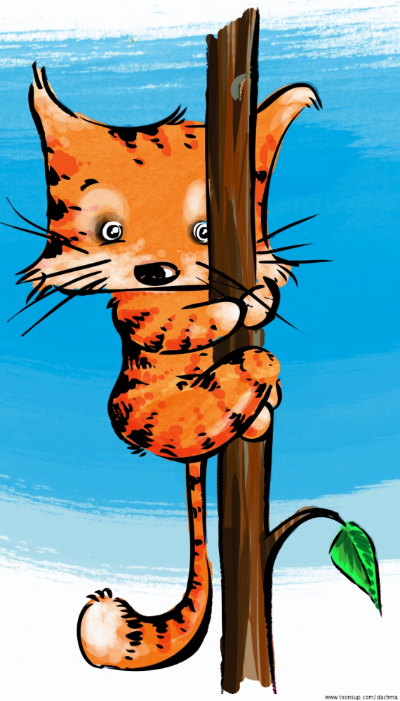 Illustration: Mau? 1