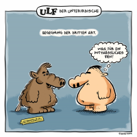 Begegnung der dritten Art