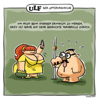 Tarnung ist alles
