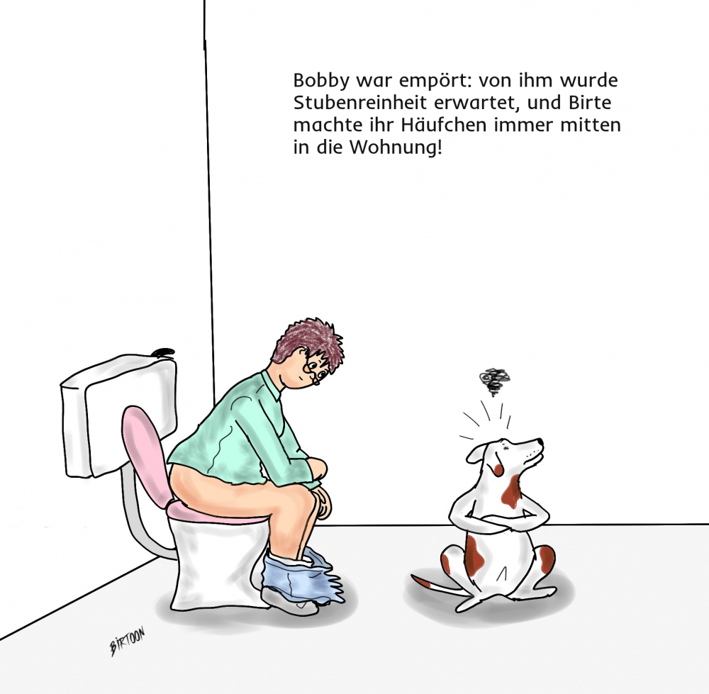 Cartoon: Stubenrein 1