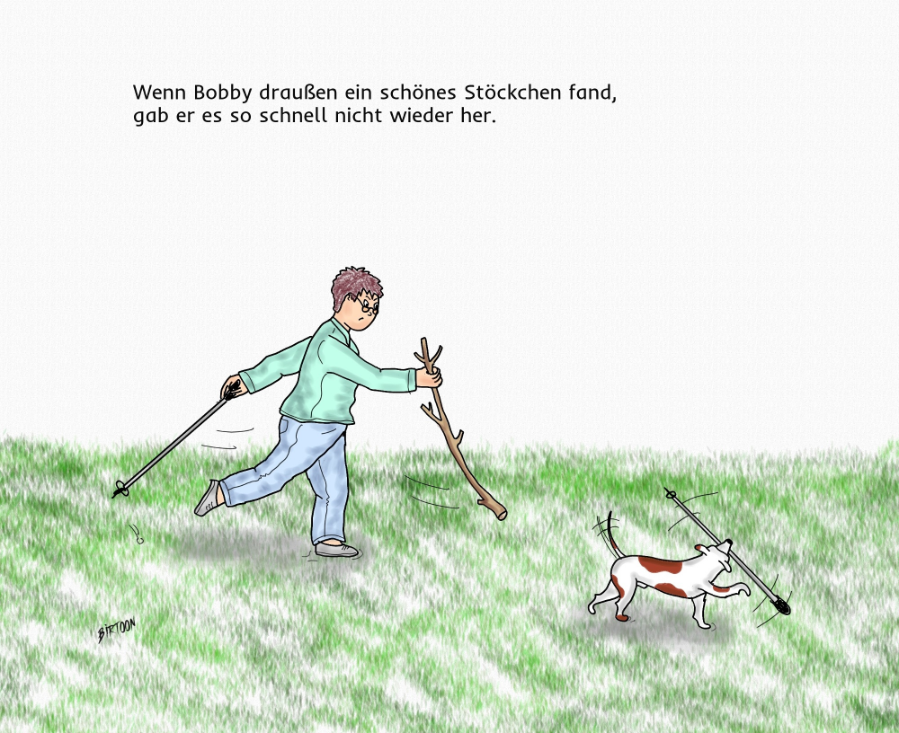 Cartoon: Nordic Walking 1