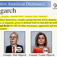 Cartoon: Oligarchy in America 1